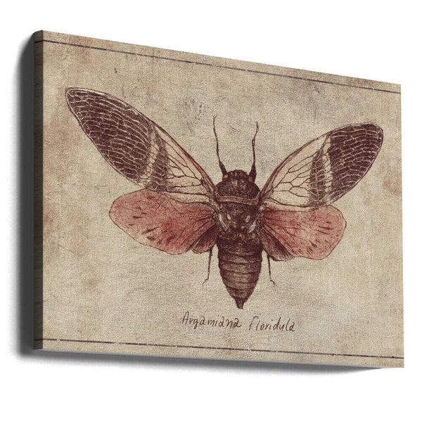 Tablou canvas „Curious Cicada Charm” de Mike Koubou