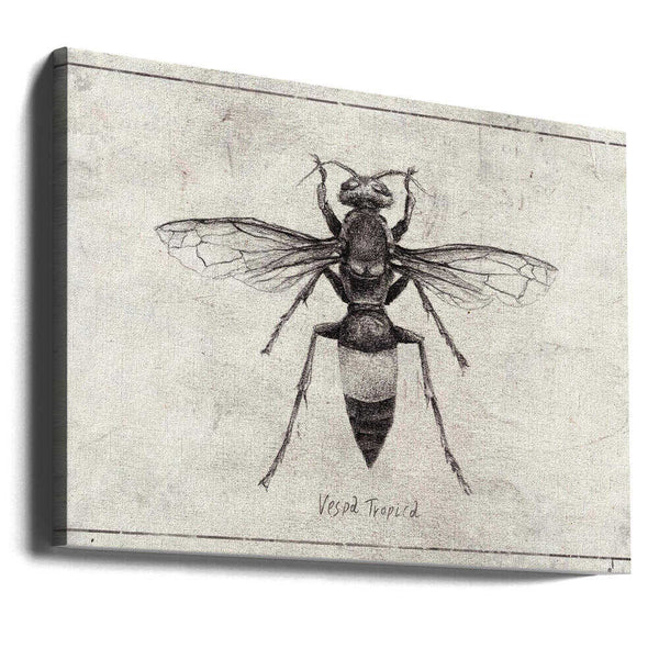 Tablou canvas „Wasp Sketch Study” de Mike Koubou