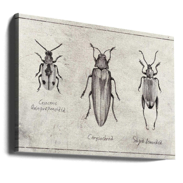 Tablou canvas „Insect Symphony” de Mike Koubou