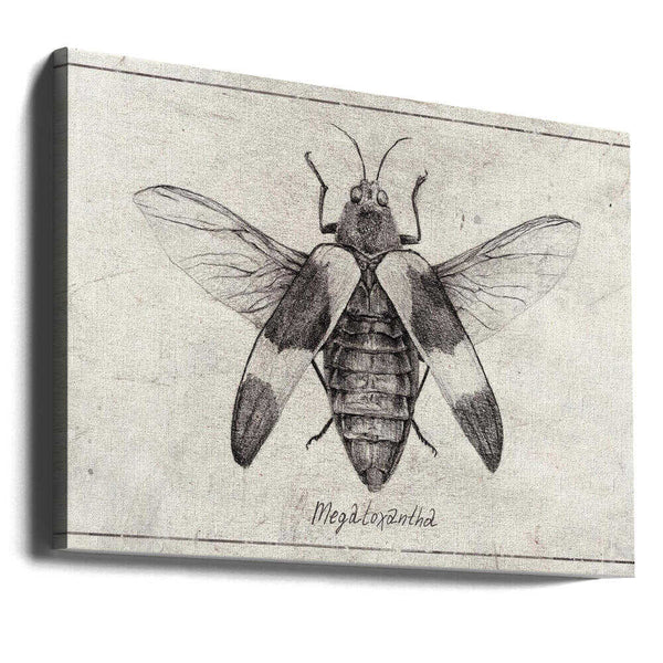 Tablou canvas „Intricate Insect Sketch” de Mike Koubou