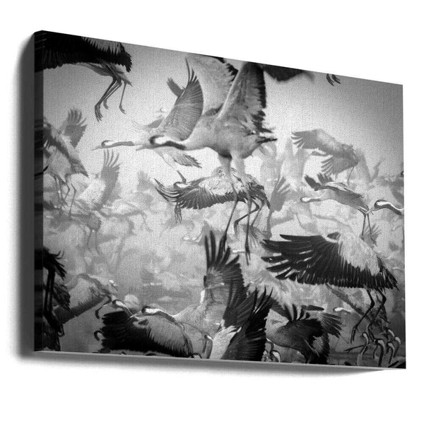 Tablou canvas „Chaos” de Ido Meirovich