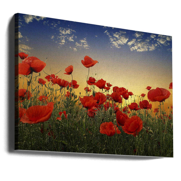 Tablou canvas „Poppies” de Albena Markova