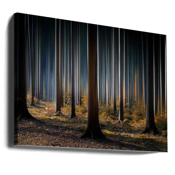 Tablou canvas „Mystic Wood” de Carsten Meyerdierks