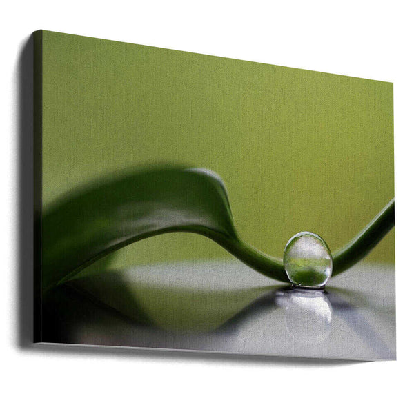 Tablou canvas „Green harmony” de Heidi Westum