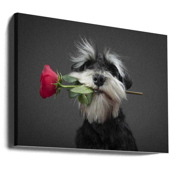 Tablou canvas „Tango Dancer” de Adnan Mahmutovic