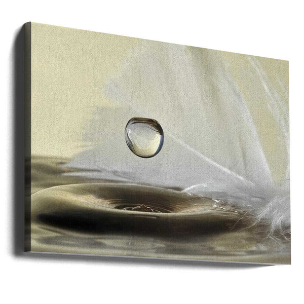 Tablou canvas „Feathers drop” de Heidi Westum