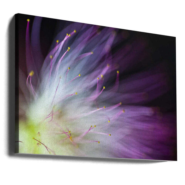 Tablou canvas „The Will-o-the-Wisp” de Art Lionse