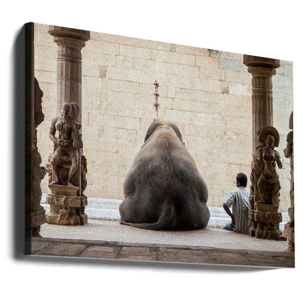 Tablou canvas „The Elephant &amp; its Mahot” de ruhan