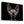 Tablou canvas „Sphynx Cat” de Patrick Matte