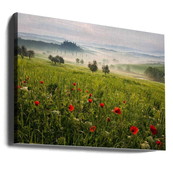 Tablou canvas „Tuscan spring” de Daniel Řeřicha