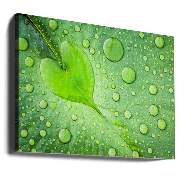 Tablou canvas „Heart” de Woraphon Banchobdi