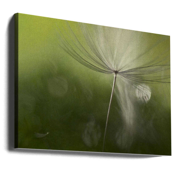 Tablou canvas „Shadows in the green” de Heidi Westum