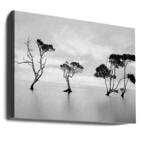 Tablou canvas „Drowning Not Waving” de Steven Fudge