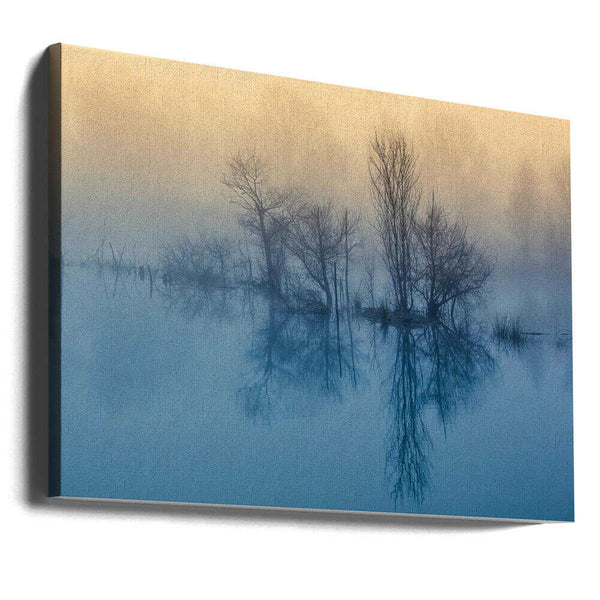 Tablou canvas „Morning reflection” de David Butali