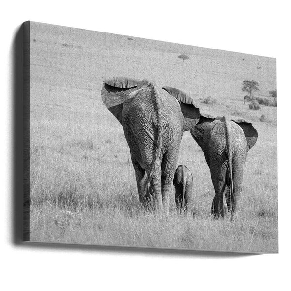 Tablou canvas „Three Butts!” de Ali Khataw