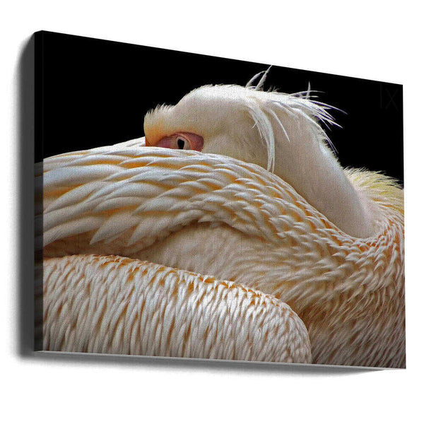 Tablou canvas „To be half asleep...” de Thierry Dufour