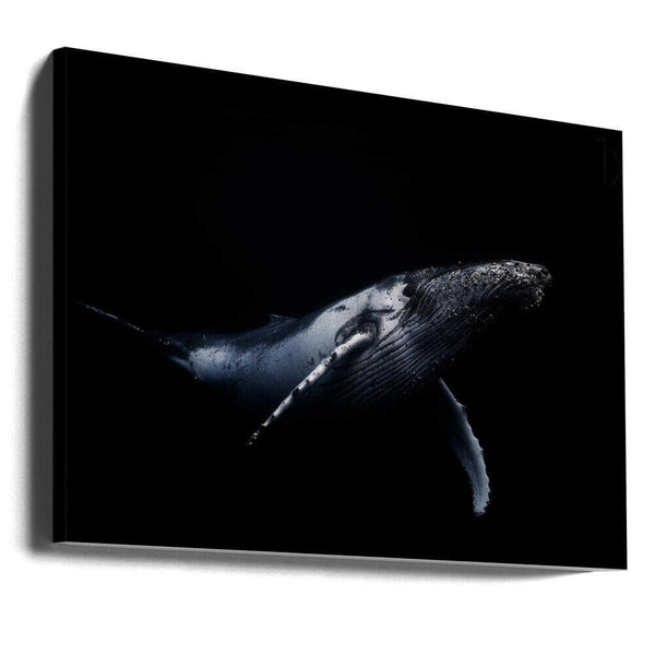 Tablou canvas „Black &amp; Whale” de Barathieu Gabriel