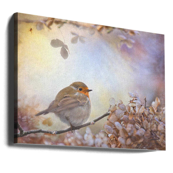 Tablou canvas „Robin on dreams” de Teuni
