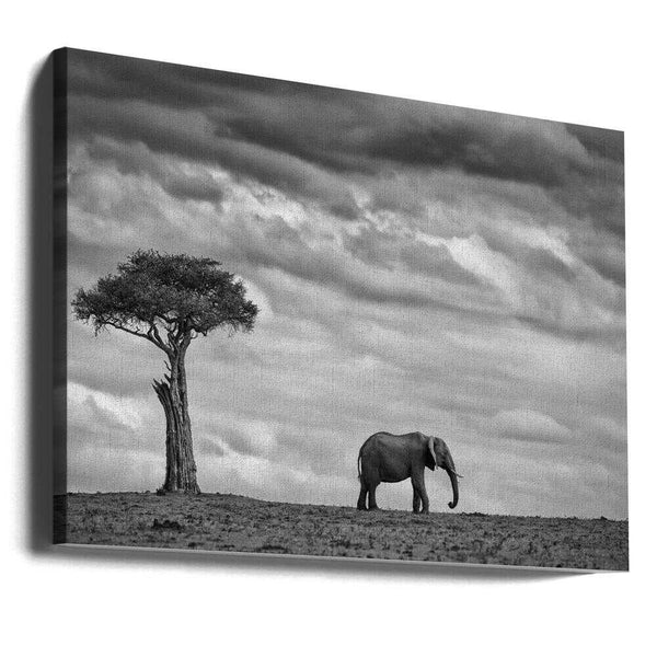 Tablou canvas „Elephant Landscape” de Mario Moreno