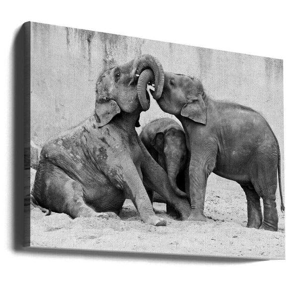 Tablou canvas „MÉNAGE À TROIS” de Antje Wenner-Braun