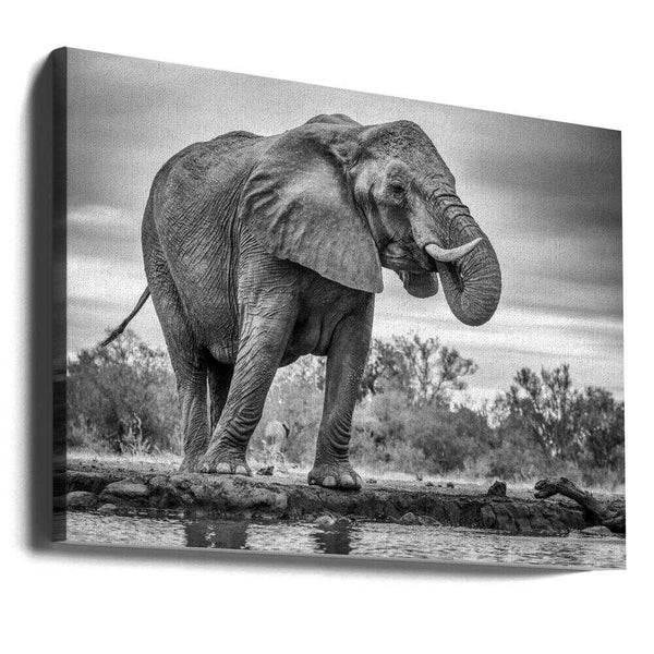 Tablou canvas „Standing Proud” de Jaco Marx