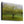 Tablou canvas „The Cat by the Tree” de Arne Östlund