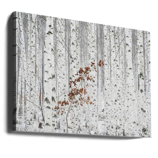 Tablou canvas „From White” de HAN dong hee