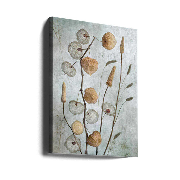 Tablou canvas „Lanterns*” de Mandy Disher