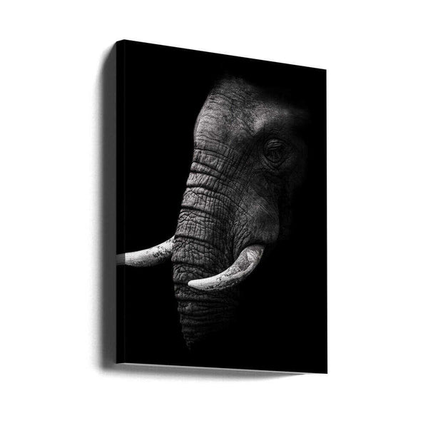 Tablou canvas „Portrait” de WildPhotoArt