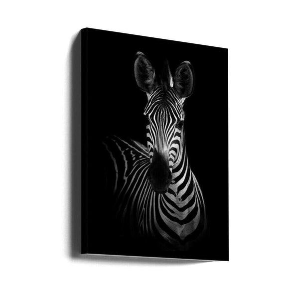 Tablou canvas „The Zebra” de WildPhotoArt