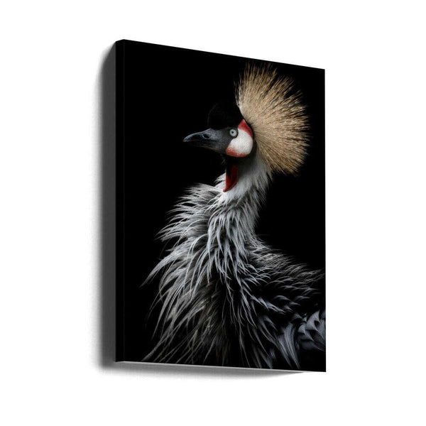 Tablou canvas „Crowned crane's portrait” de Eiji Itoyama