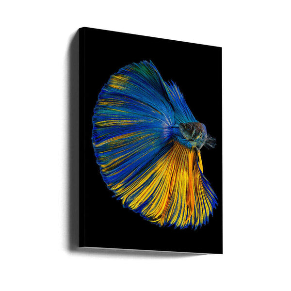 Tablou canvas „Yellow &amp; Blue” de Andi Halil