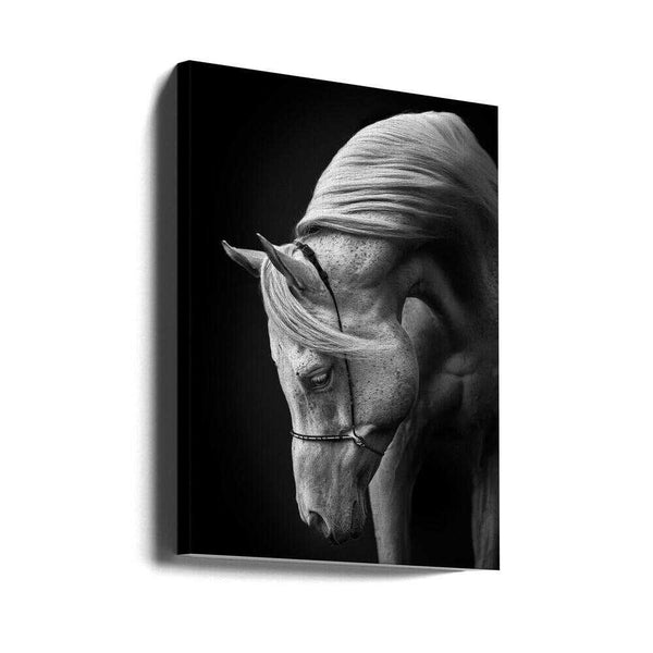 Tablou canvas „white stallion” de Ulrike Leinemann