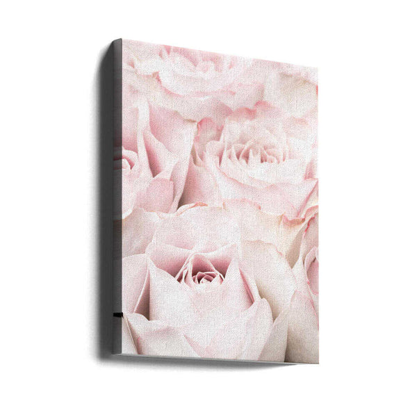 Tablou canvas „Pink Roses 05” de Pictufy Studio III