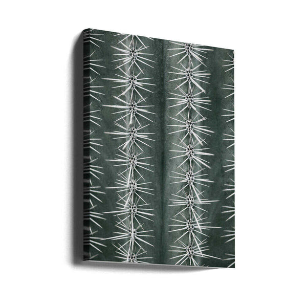 Tablou canvas „Cactus green” de Pictufy Studio III