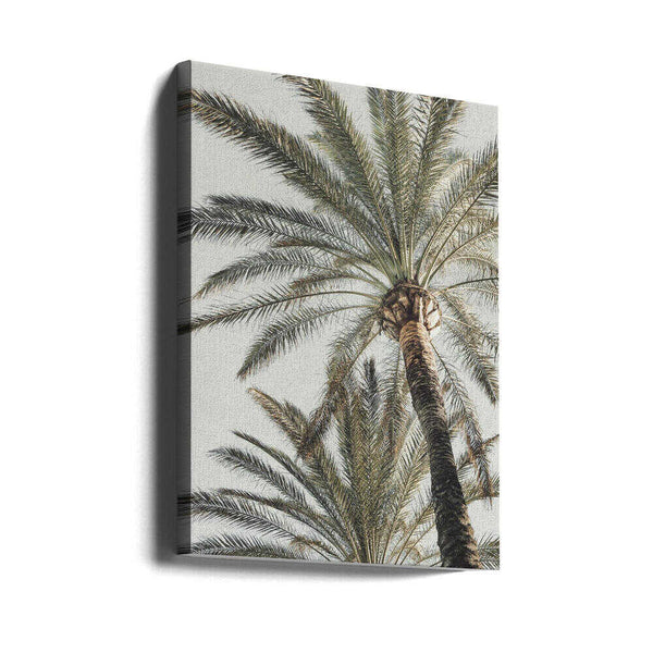 Tablou canvas „Palm_005” de Pictufy Studio III