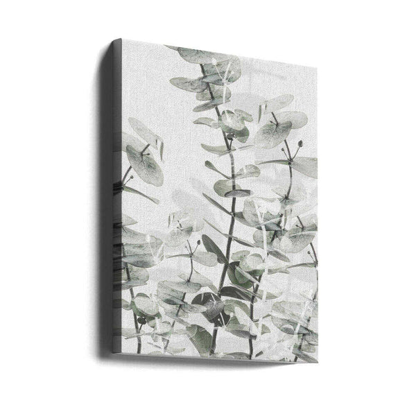 Tablou canvas „Eucalyptus_001” de Pictufy Studio III