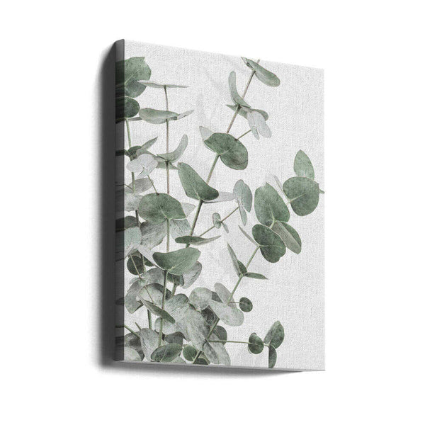 Tablou canvas „Eucalyptus_003” de Pictufy Studio III