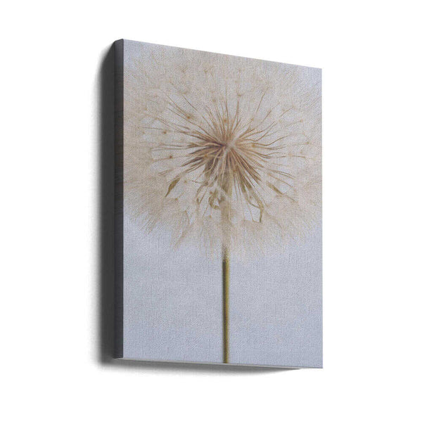 Tablou canvas „Delicate Dandelion” de uplusmestudio