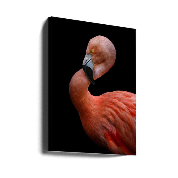 Tablou canvas „Untitled” de Hardik Pandya