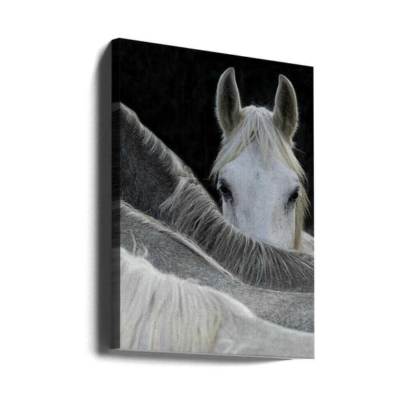 Tablou canvas „Look” de Milan Malovrh