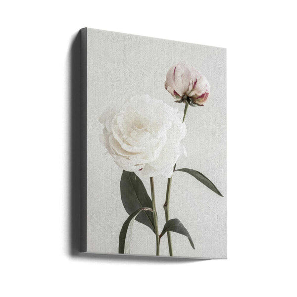 Tablou canvas „Peony 12” de Pictufy Studio III