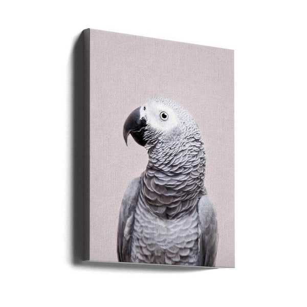 Tablou canvas „African Grey” de Kathrin Pienaar