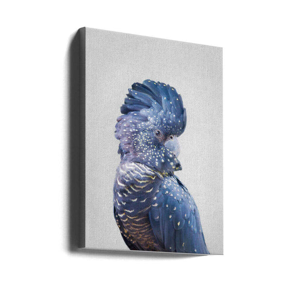 Tablou canvas „Black Cockatoo” de Kathrin Pienaar