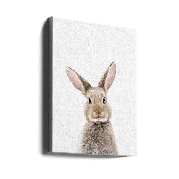 Tablou canvas „Baby Rabbit” de Kathrin Pienaar