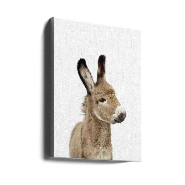 Tablou canvas „Baby Donkey” de Kathrin Pienaar
