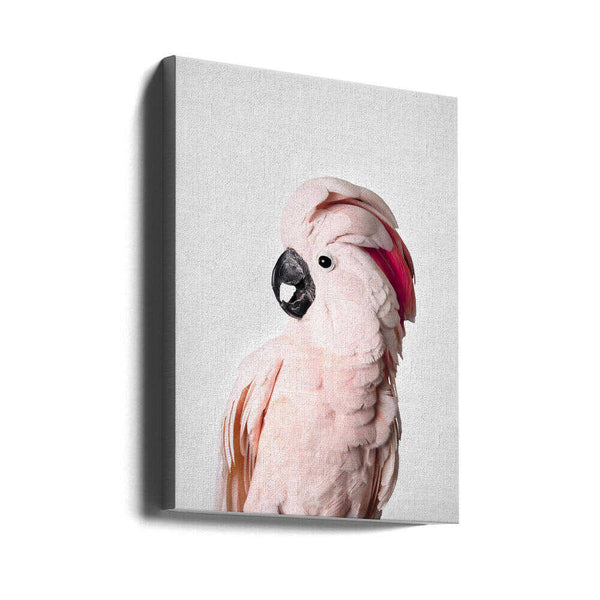 Tablou canvas „Pink Cockatoo” de Kathrin Pienaar