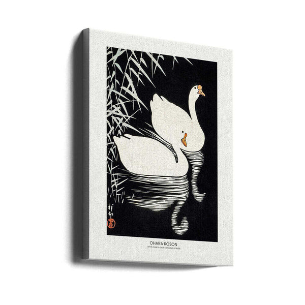Tablou canvas „White Chinese Geese Swimming by Reeds” de Ohara Koson