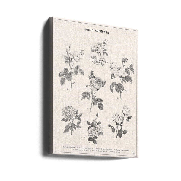 Tablou canvas „Roses” de Florent Bodart