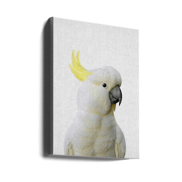 Tablou canvas „Peekaboo Cockatoo” de Lola Peacock